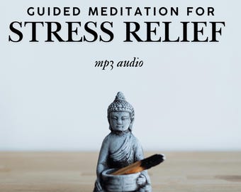 Stress Relief Guided Meditation Audio (Digital Download)