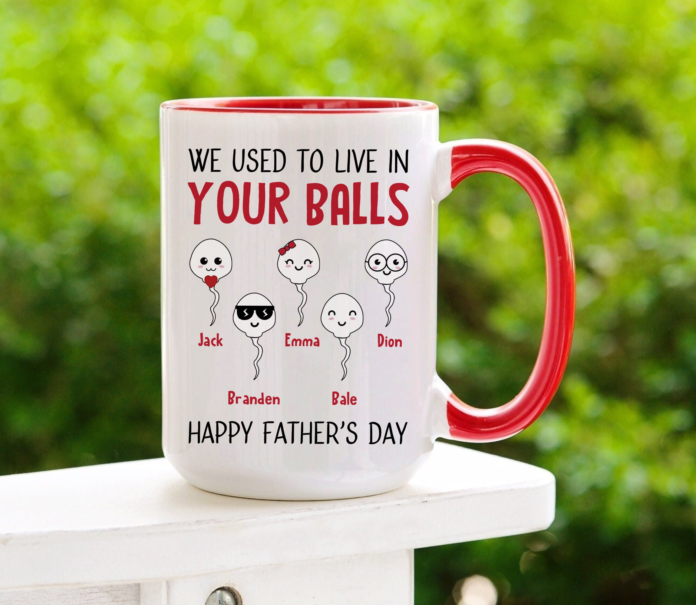 Personalized We Used to Live in Your Balls Mug, Sarcastic Dad Gift, Dad ...