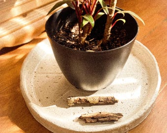 Extra Large Concrete Plant Tray: Rustic Modern Indoor Garden Saucer