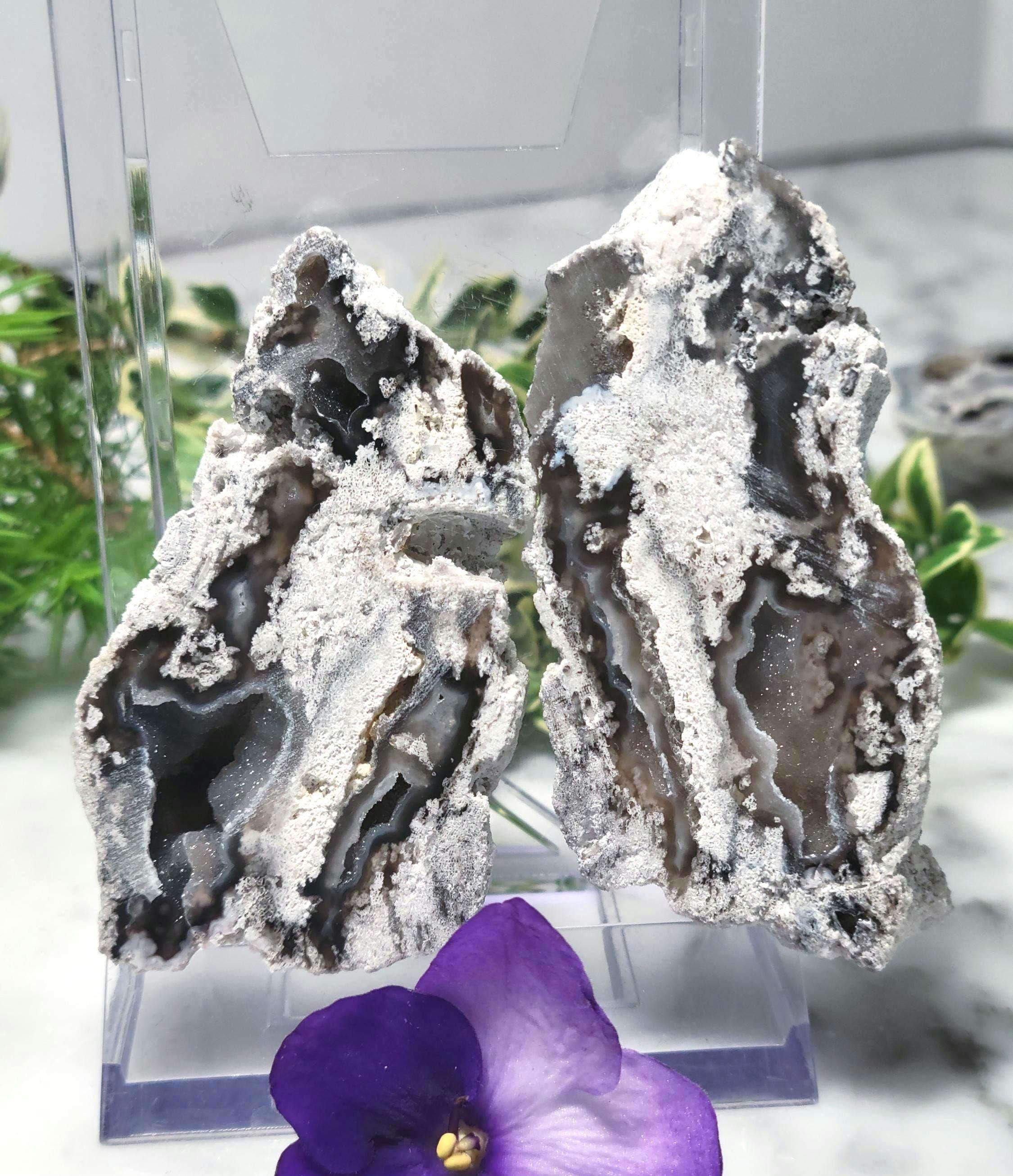 Coral geode - Etsy 日本