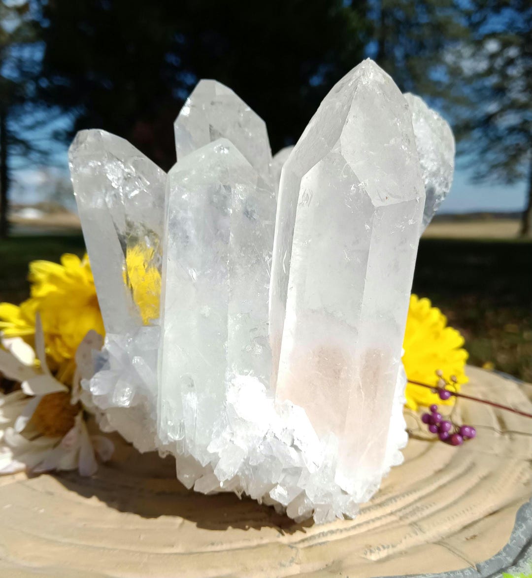 ガーデン ポイント クリア度◎ Clear Quartz Garden Crystal Points Cluster; 4.5