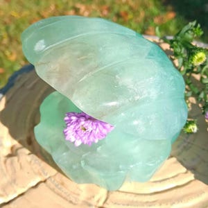 May include: A carved, light green fluorite seashell sculpture. The open shell cradles a small cluster of purple flowers. The sculpture is displayed outdoors, with natural light enhancing its translucent quality. A unique decorative item.