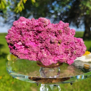 May include: A vibrant, hot pink mineral specimen with a rough, crystalline, and porous texture. The rock features deep magenta hues with small, sparkling points across its uneven surface, displayed horizontally on a clear, circular glass stand.