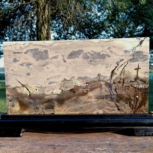Xlarge Picture Jasper Rectangular Slab with Stand