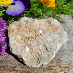 Campione di grappolo di cristalli di barite: cristallo a lamelle bianche e dorate da 3,5 pollici