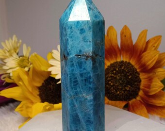 Könnte beinhalten: Ein polierter blauer Apatit-Kristallturm mit sechseckiger Form und spitzer Oberseite. Der Stein hat eine leuchtend cyanblaue Farbe mit sichtbaren natürlichen inneren Rissen, dunklen Mineraleinschlüssen und einer glatten Oberfläche.