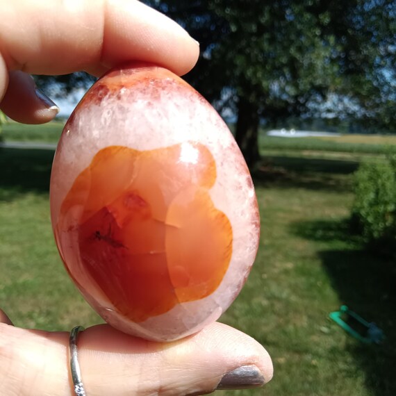 【カーネリアン】 エッグ ② CARNELIAN EGG Carnelian Egg: 2.5