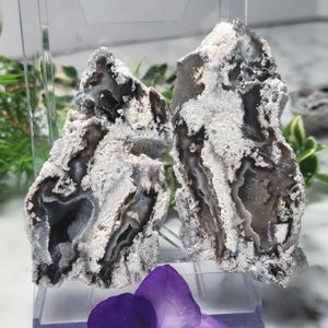 サンゴ石　ジオード　石 Coral geode - Etsy 日本