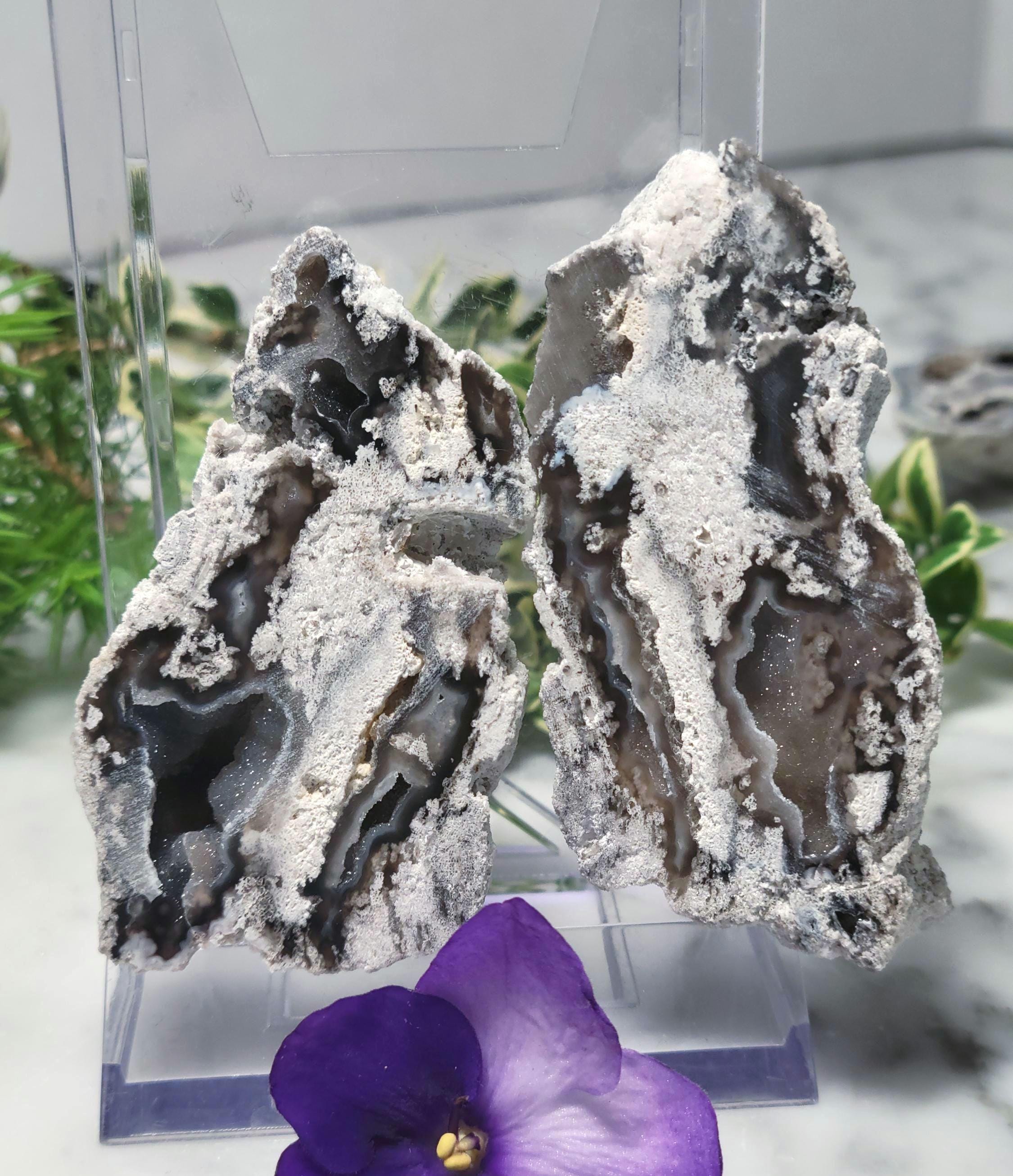 サンゴ石　ジオード　石 Coral geode - Etsy 日本