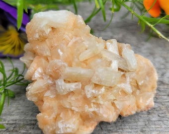 Campione di grappolo di cristalli di stilbite color pesca, 2,2 pollici