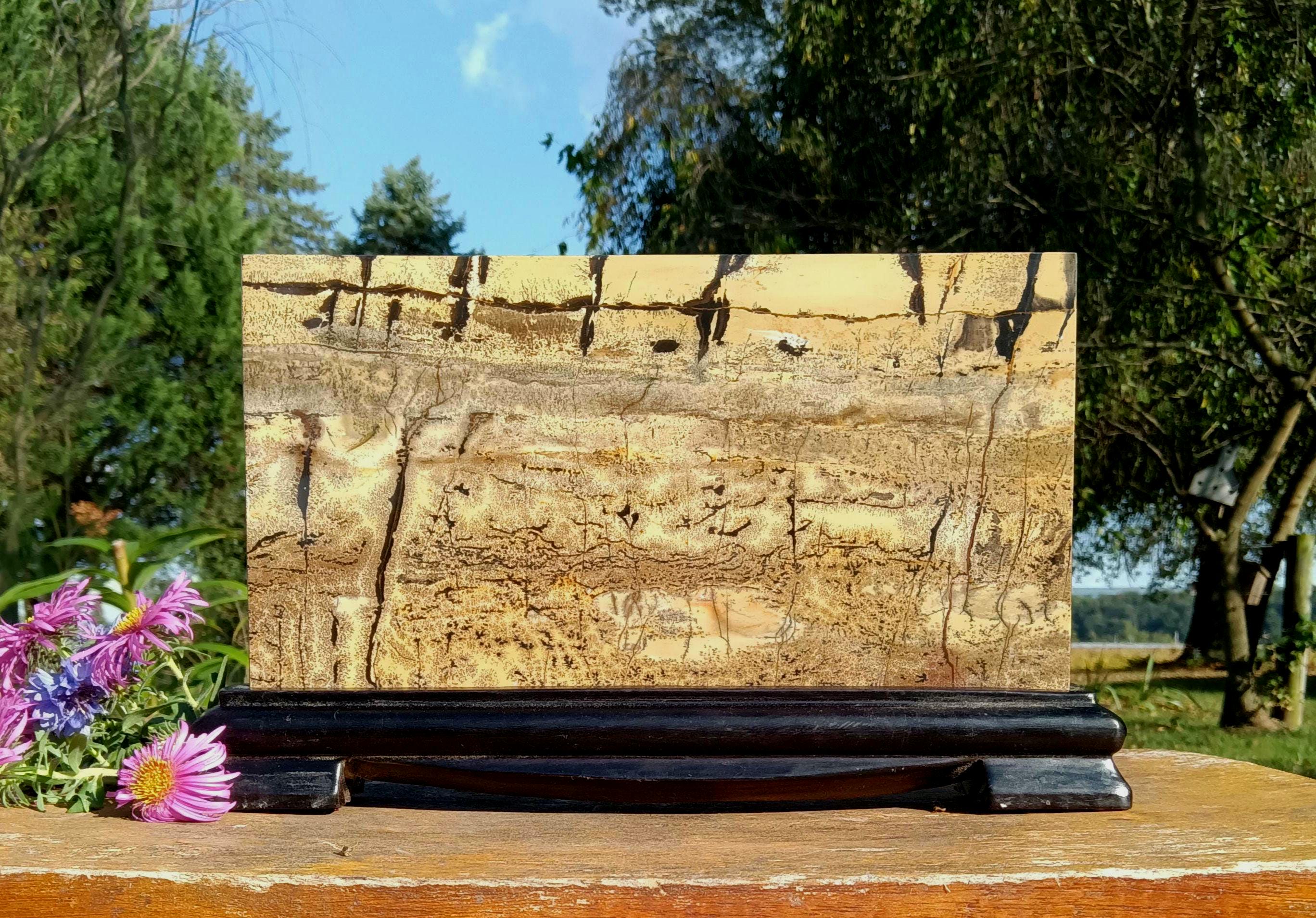 Large Picture Jasper Rectangular Slab on Stand 9.75