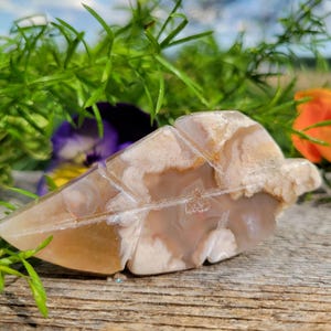 May include: A leaf-shaped stone carving with a mix of tan, cream, and brown colors. The stone has a polished surface and is resting on a weathered wooden surface. Green foliage and flowers are in the background.