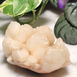 Op de afbeelding: Een cluster van perzikgekleurde kristalformaties. De kristalstructuur heeft een ruw, getextureerd oppervlak. Groene en wit gevlekte bladeren en een paarse bloem zijn op de achtergrond.