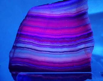 Schwarze Rosenfluorit-Kristallplatte: 14,6 cm (5,75 Zoll), selten, stark UV-reaktiv, leuchtend rot, pink, orange, blau, violett, lavendelfarben