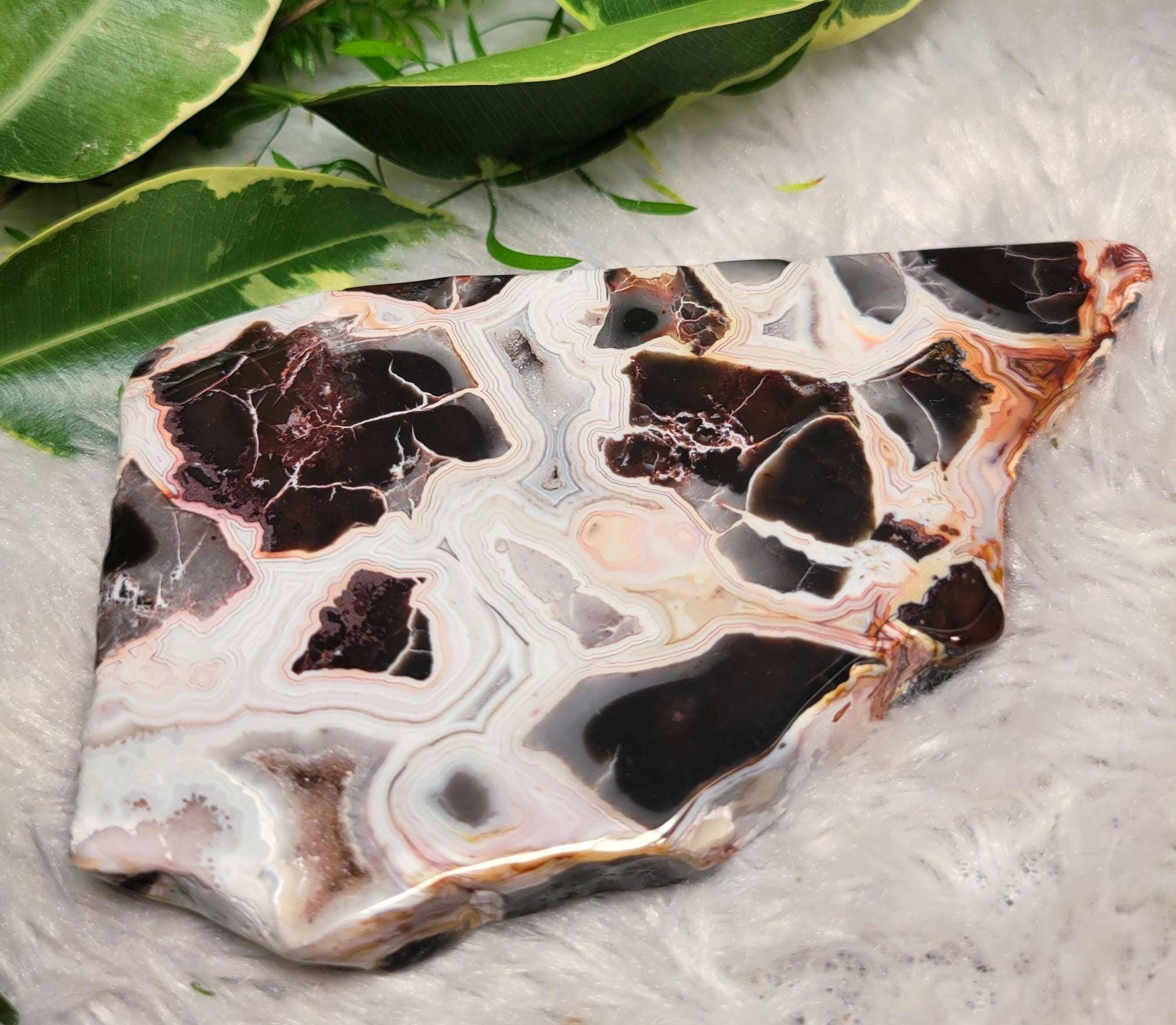 Mexican Crazy Lace Brecciated Slab With Druzies: High Quality 4.25