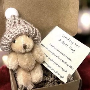 pocket bear hug  welbeing gift mental health gift