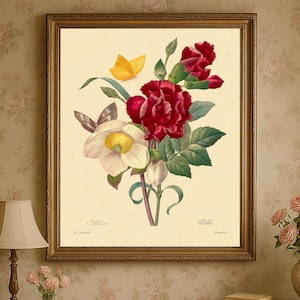 Vintage Hellébore-Illustration, Botanische Kunst Retro-Stil, Ellebore, klassische Blumenkunst, Stilvolle Blumenzeichnung, Elegante Wanddeko