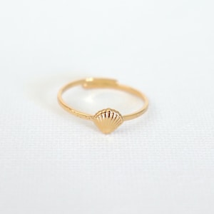Puede incluir: Un anillo dorado con un diseño de concha. El anillo está sobre un fondo blanco, resaltando los delicados detalles de la concha. Una joya sencilla y elegante.