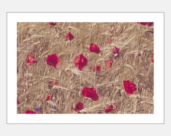 Poster "Poppy" - Germany 2014 - DIN A3 (297 x 420mm)