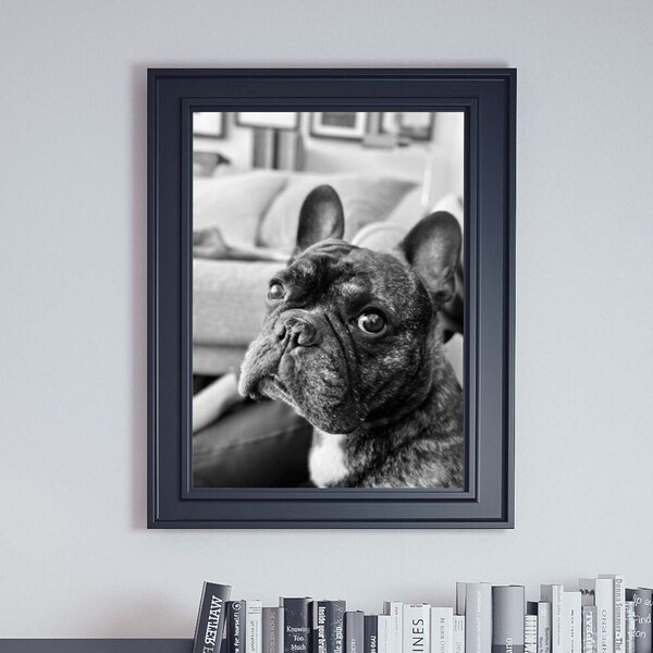 Frenchie Black & White | Wall Art | Digital Download | French Bulldog | Photography | Black and White Art | Frenchie Art | Digital Art | Dog