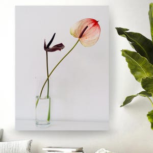 Minimalist Anthurium Flower Print: Modern Botanical Wall Art