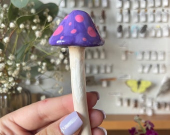 Jeu de champignons | Violet magique