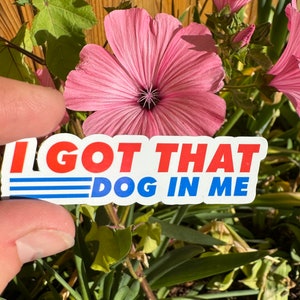 I got that dog in me sticker. Funny Sticker. Costco Hot Dog. For water bottle, phone case sticker, laptop sticker, adult gag gift. Costco