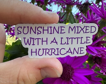 Sunshine mixed with a little Hurricane. Sunshine Sticker. Hurricane sticker. Funny decal. Water bottle sticker. Positive quote Sticker