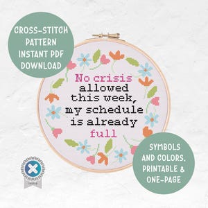 Funny Subversive Snarky Coworker No Crisis Allowed This Week Cross Stitch Pattern Office Instant PDF Download Modern Embroidery Pattern