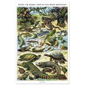 Könnte beinhalten: Ein Poster im Vintage-Stil mit detaillierten Illustrationen verschiedener Reptilien, darunter Schlangen, Eidechsen, Schildkröten und Krokodile. Der Text "FUCK! I'M SORRY, THIS IS TOO MANY REPTILES!" steht oben. Die Illustration ist farbenfroh und lehrreich.