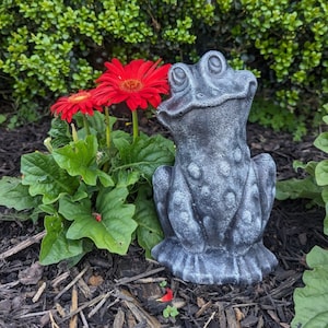 Concrete Garden Frog/ Aged Stone Painted Frog/ Concrete Lawn Ornament/ Cement Statue/Concrete Statuary/ Frog Statue/ Outdoor Frog Sculpture