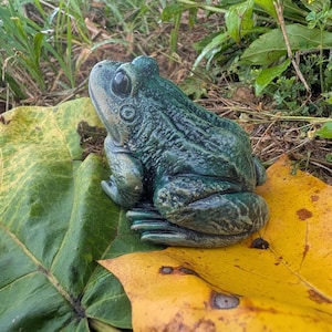 Realistic Concrete Frog Hand-Painted Cement Garden Frog Statue Outdoor Toad Sculpture Animal Frog Lover Housewarming Gift Stone Bull Frog image 7