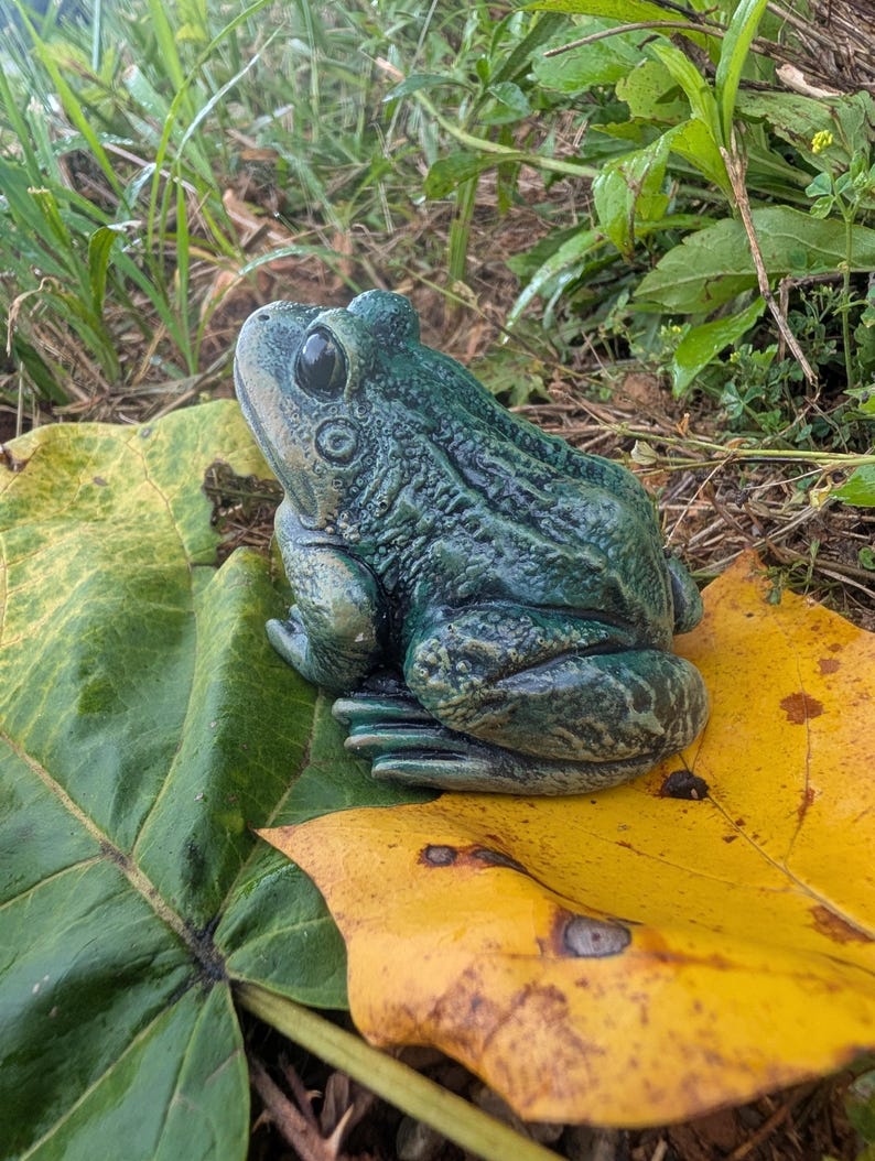 Realistic Concrete Frog Hand-Painted Cement Garden Frog Statue Outdoor Toad Sculpture Animal Frog Lover Housewarming Gift Stone Bull Frog image 7