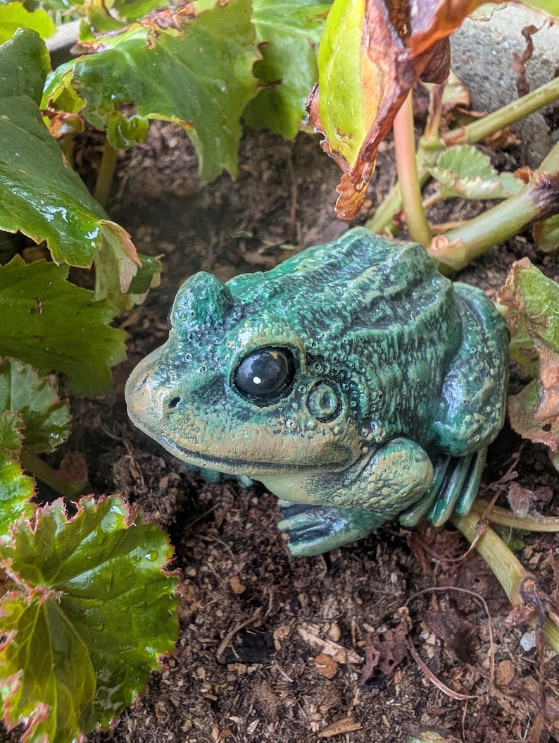 Realistic Concrete Frog Hand-Painted Cement Garden Frog Statue Outdoor Toad Sculpture Animal Frog Lover Housewarming Gift Stone Bull Frog image 3