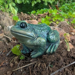 Realistic Concrete Frog Hand-Painted Cement Garden Frog Statue Outdoor Toad Sculpture Animal Frog Lover Housewarming Gift Stone Bull Frog image 6