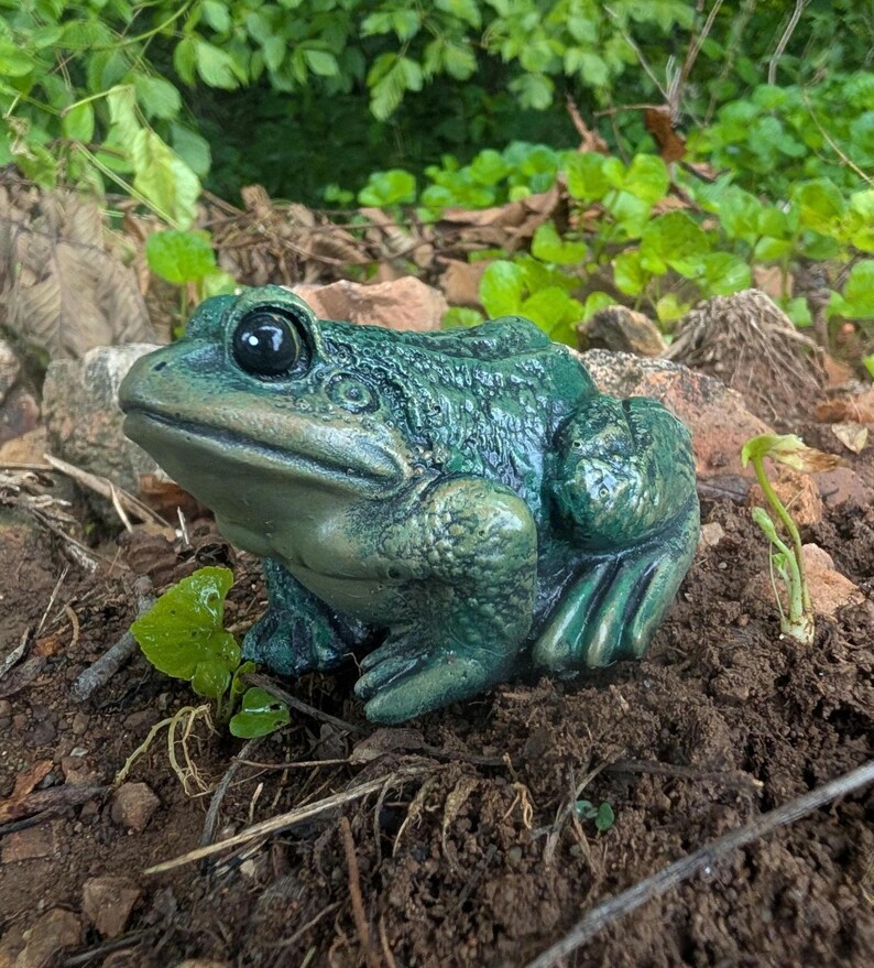 Realistic Concrete Frog Hand-Painted Cement Garden Frog Statue Outdoor Toad Sculpture Animal Frog Lover Housewarming Gift Stone Bull Frog image 6