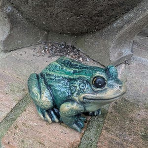 Realistic Concrete Frog Hand-Painted Cement Garden Frog Statue Outdoor Toad Sculpture Animal Frog Lover Housewarming Gift Stone Bull Frog image 8