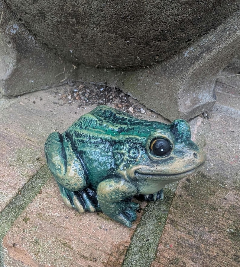 Realistic Concrete Frog Hand-Painted Cement Garden Frog Statue Outdoor Toad Sculpture Animal Frog Lover Housewarming Gift Stone Bull Frog image 8