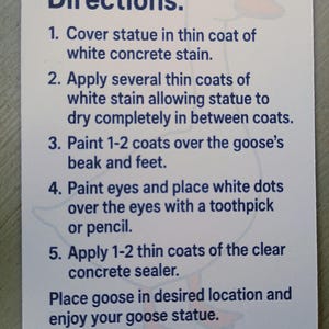 May include: A white card with instructions for painting a goose statue. The text details steps for applying concrete stain, painting the beak and feet, and sealing the statue. A cartoon goose illustration is in the background.