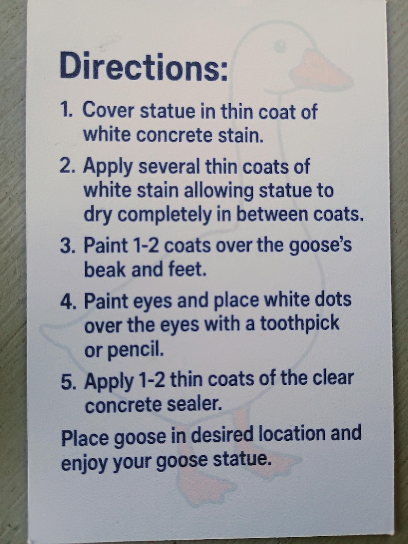May include: A white card with instructions for painting a goose statue. The text details steps for applying concrete stain, painting the beak and feet, and sealing the statue. A cartoon goose illustration is in the background.