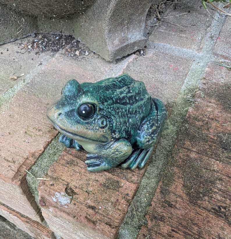 Realistic Concrete Frog Hand-Painted Cement Garden Frog Statue Outdoor Toad Sculpture Animal Frog Lover Housewarming Gift Stone Bull Frog image 18