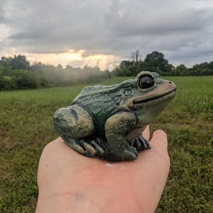 Realistic Concrete Frog Hand-Painted Cement Garden Frog Statue Outdoor Toad Sculpture Animal Frog Lover Housewarming Gift Stone Bull Frog image 10