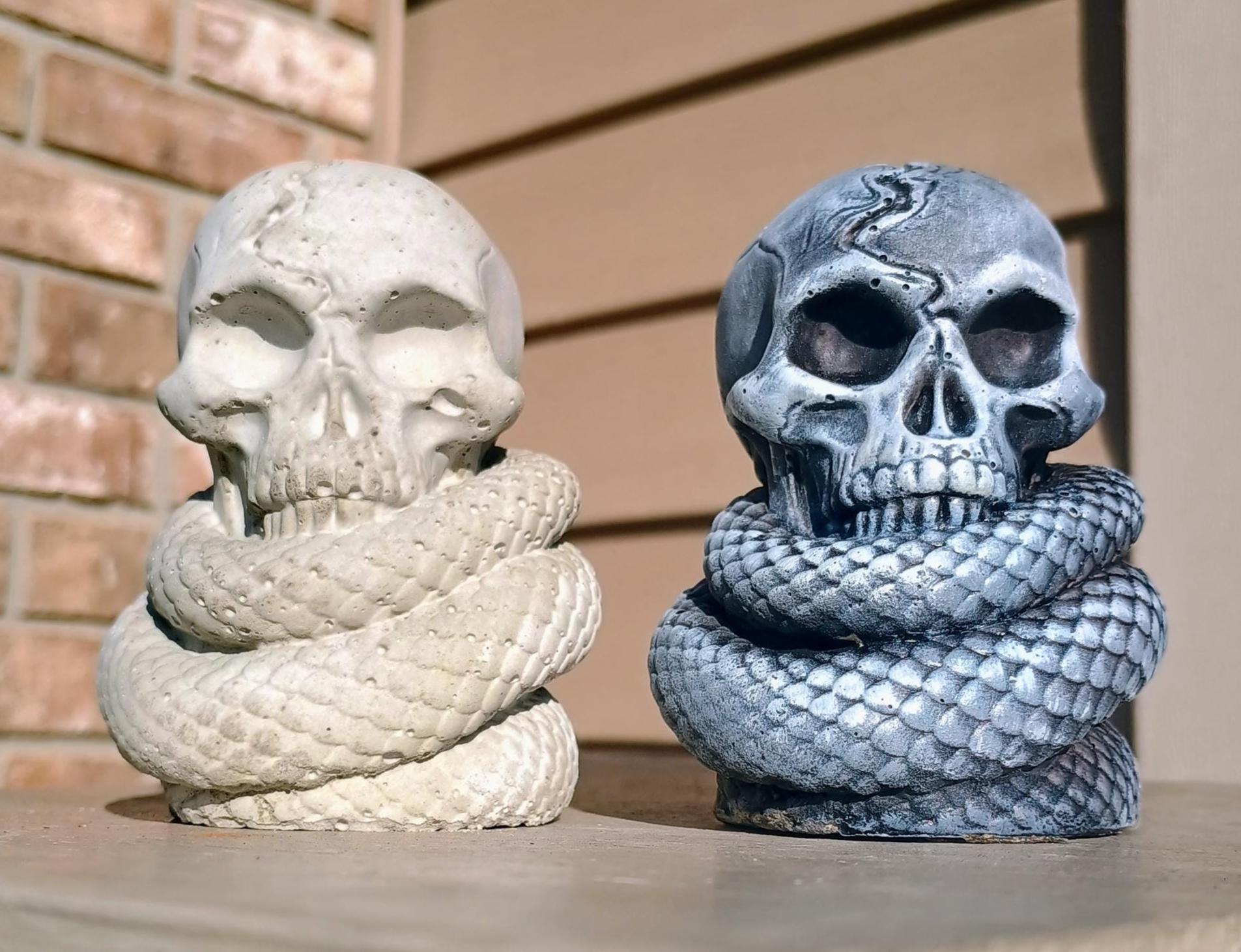 Snake Skeleton Decoration - Etsy