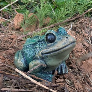 Realistic Concrete Frog Hand-Painted Cement Garden Frog Statue Outdoor Toad Sculpture Animal Frog Lover Housewarming Gift Stone Bull Frog image 4