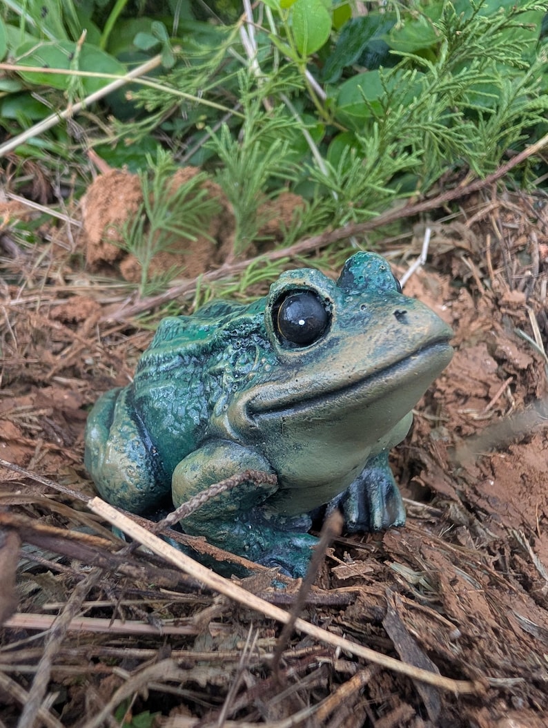 Realistic Concrete Frog Hand-Painted Cement Garden Frog Statue Outdoor Toad Sculpture Animal Frog Lover Housewarming Gift Stone Bull Frog image 4