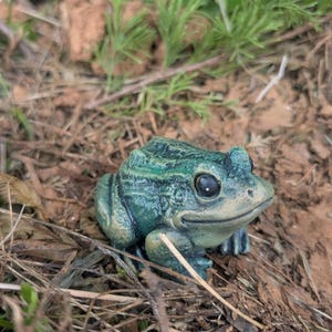 Realistic Concrete Frog Hand-Painted Cement Garden Frog Statue Outdoor Toad Sculpture Animal Frog Lover Housewarming Gift Stone Bull Frog image 17