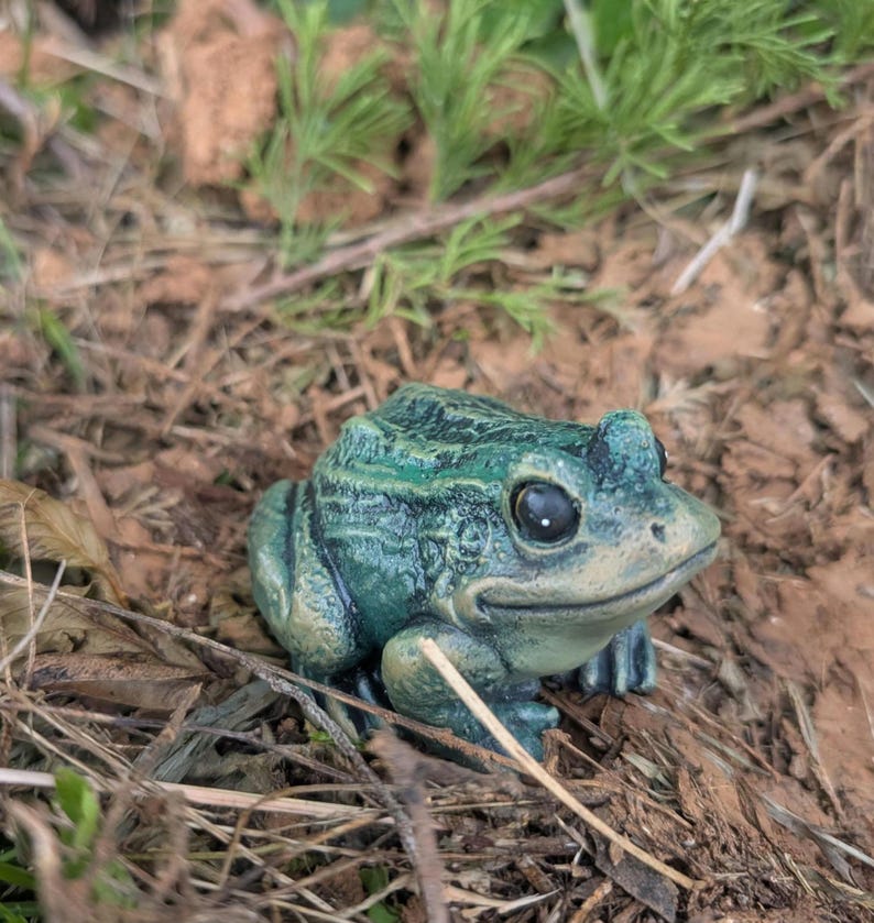 Realistic Concrete Frog Hand-Painted Cement Garden Frog Statue Outdoor Toad Sculpture Animal Frog Lover Housewarming Gift Stone Bull Frog image 17