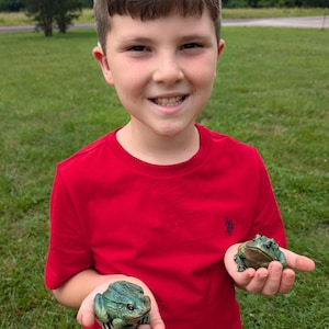 May include: Two small, realistic green frog figurines with textured skin and dark markings. Each frog is held in a palm, showcasing detailed eyes and a crouched posture. The figurines are crafted with a matte finish and deep green tones, capturing the appearance of amphibians in a stationary, lifelike pose.