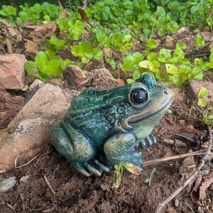 Realistic Concrete Frog Hand-Painted Cement Garden Frog Statue Outdoor Toad Sculpture Animal Frog Lover Housewarming Gift Stone Bull Frog image 11