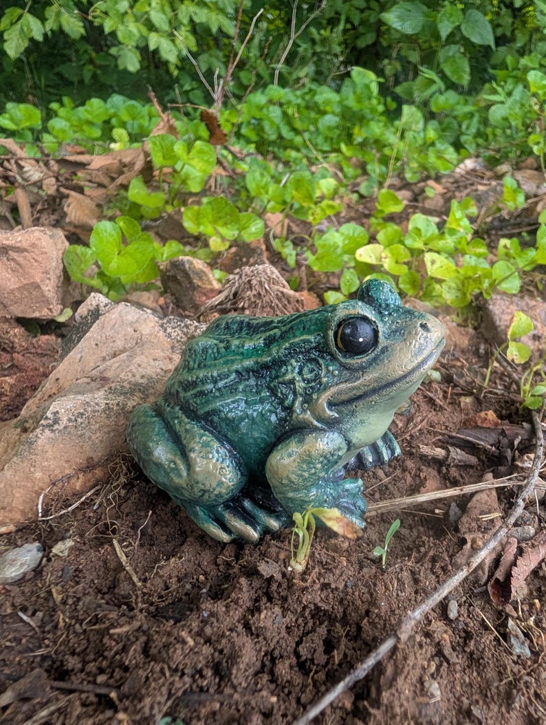 Realistic Concrete Frog Hand-Painted Cement Garden Frog Statue Outdoor Toad Sculpture Animal Frog Lover Housewarming Gift Stone Bull Frog image 11